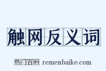 触网反义词是什么意思的图片